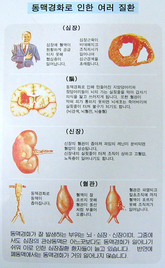 질병의 설계도 첨부 이미지