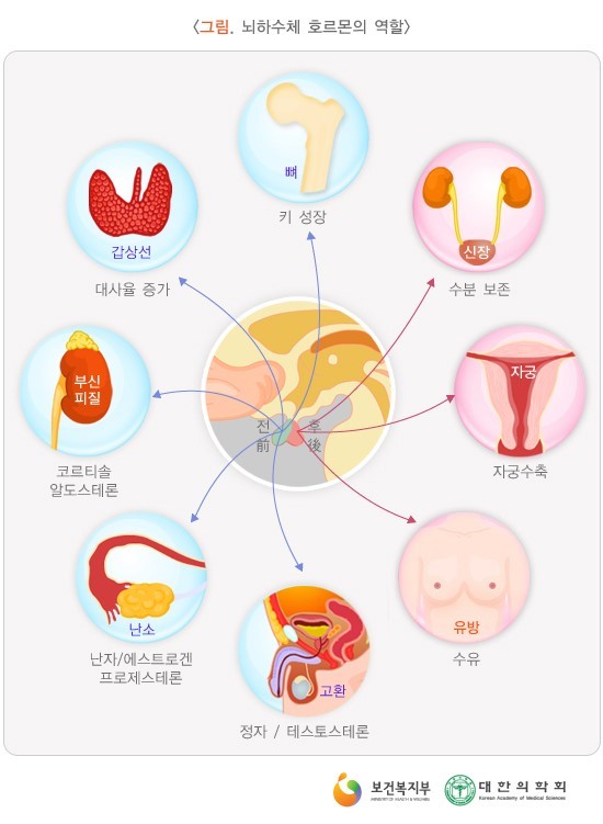 질병의 설계도 첨부 이미지